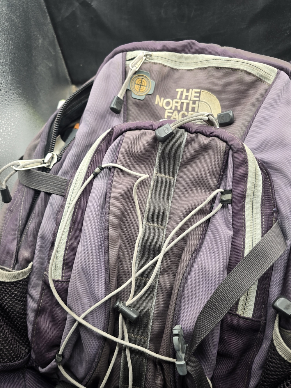The North Face Purple Men’s Backpack with Light Gray Accents